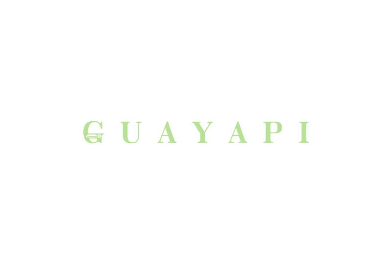 Guayapi