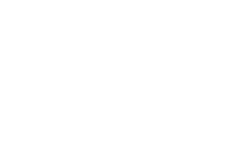 Bodega Numanthia