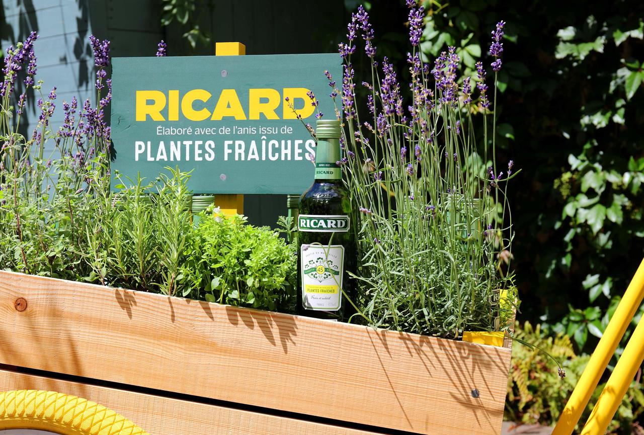 Plantes Fraîches
