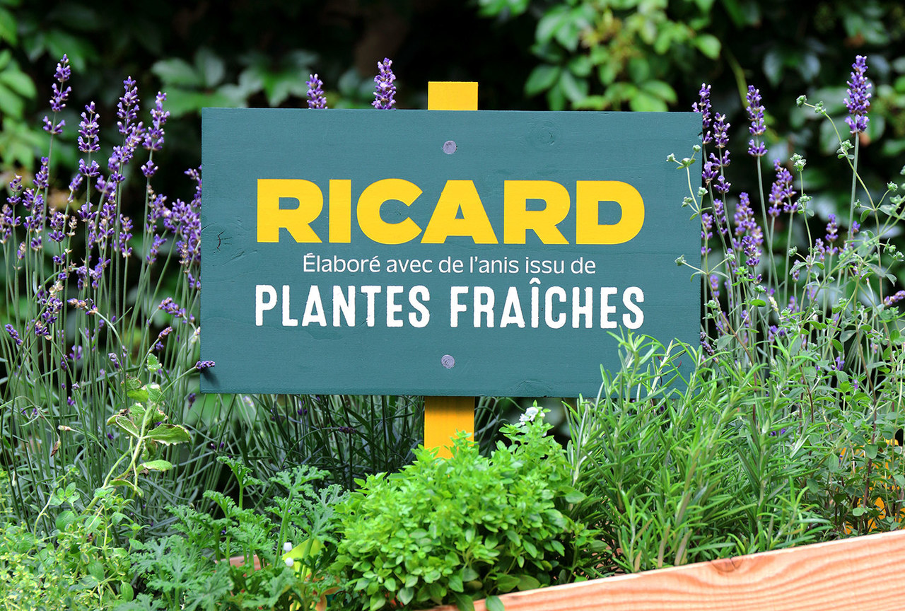 Plantes Fraîches