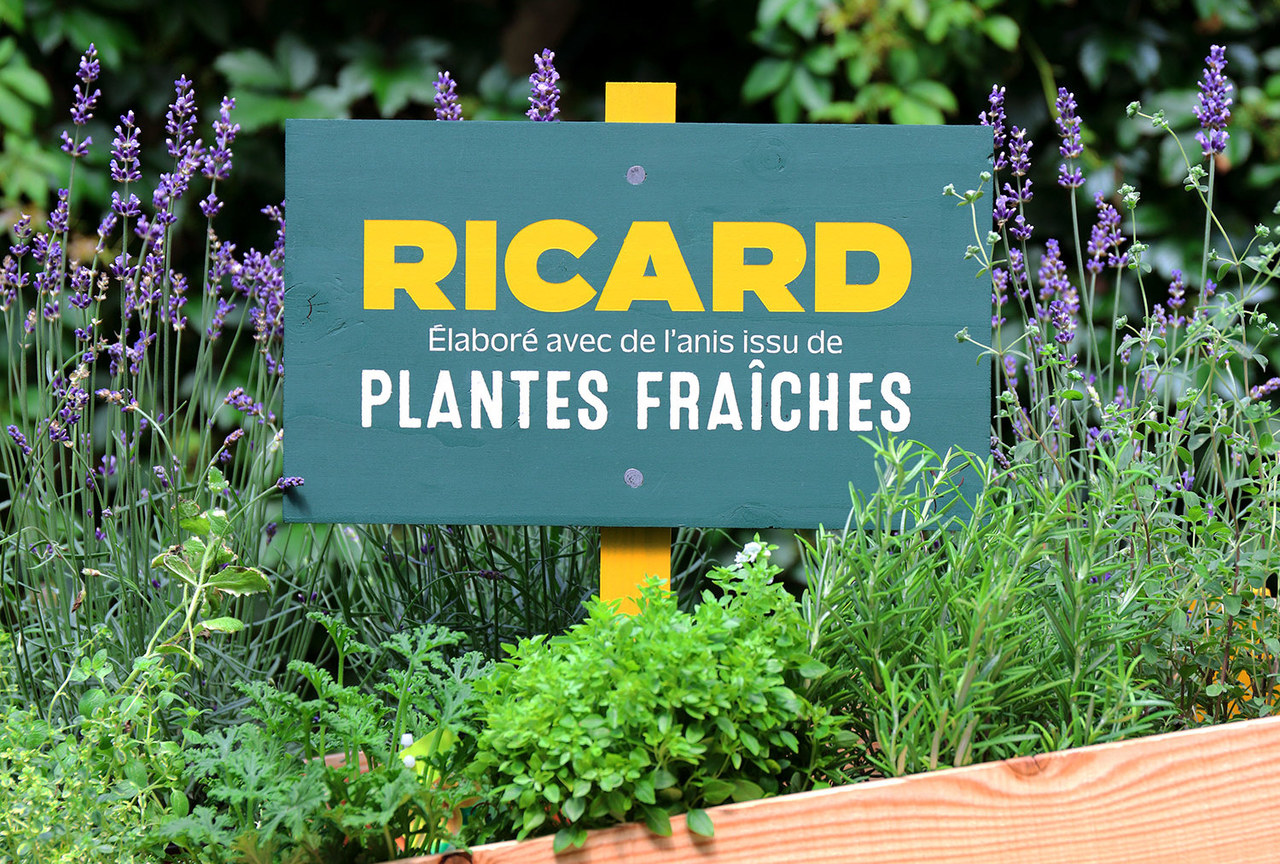 Plantes Fraîches